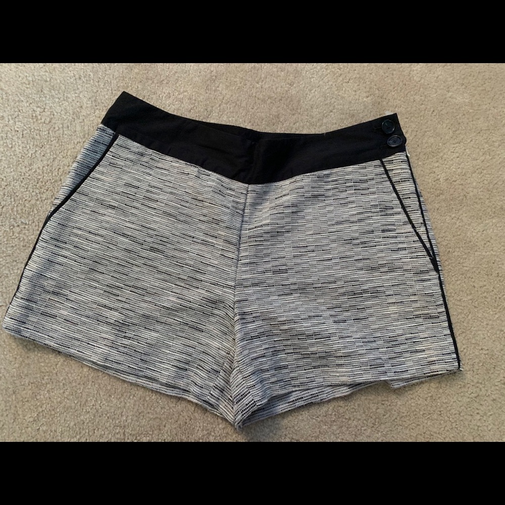 NEW WITH TAGS !Loft dressy shorts